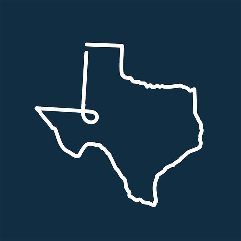 Texas icon