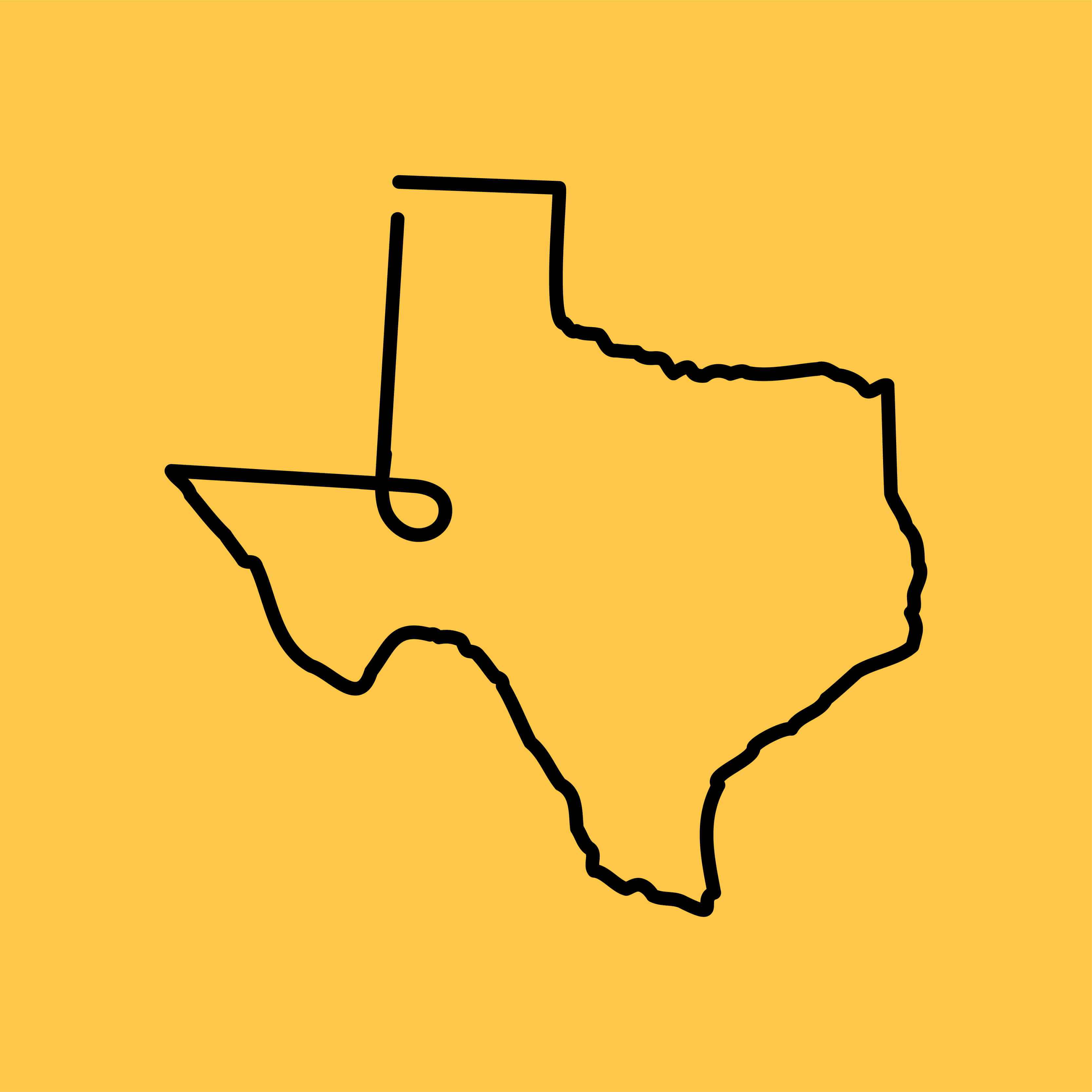 Texas icon
